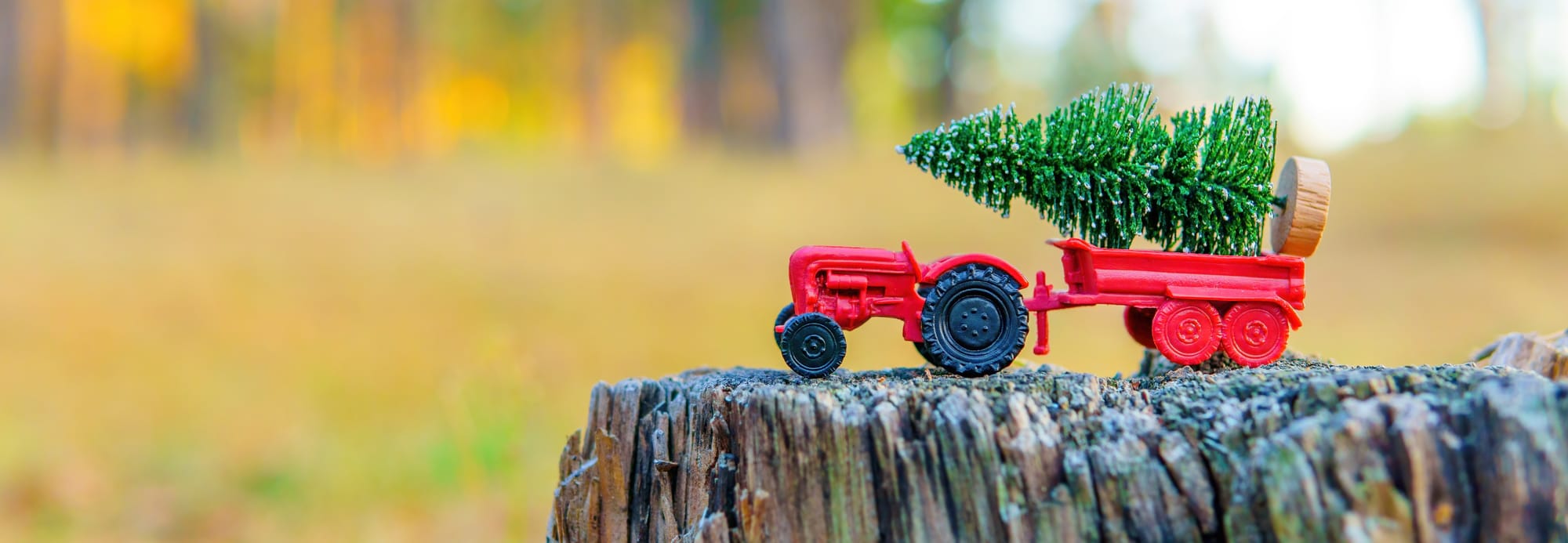 Tractor Pull